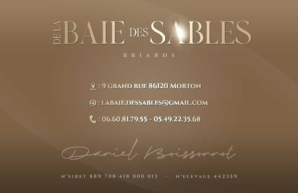 De La Baie Des Sables